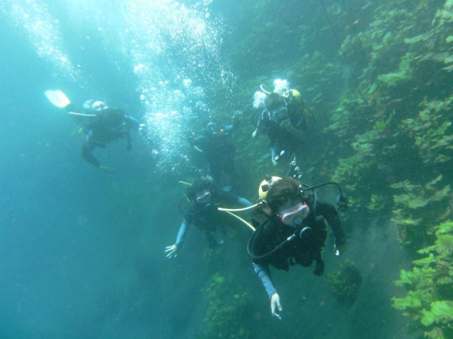 Expedicion de buceo